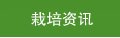 栽培资讯