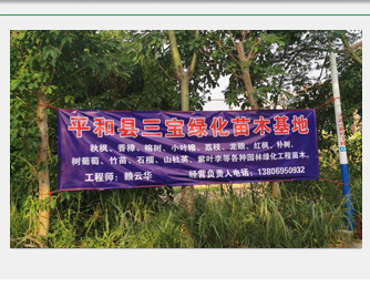 全球精尖食品科技